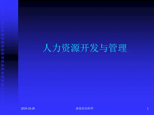 人力资源开发与管理模板.pptx