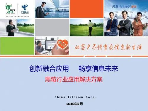 中国电信集团 黑莓手机行业应用解决方案PPT课件