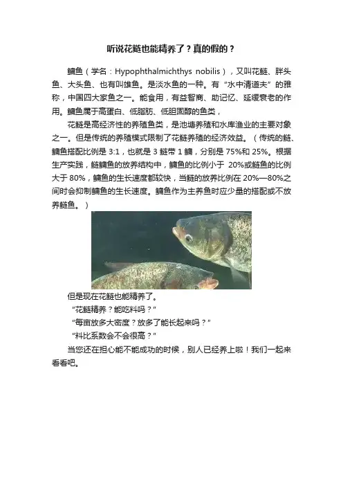 听说花鲢也能精养了？真的假的？