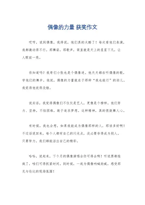 偶像的力量 获奖作文