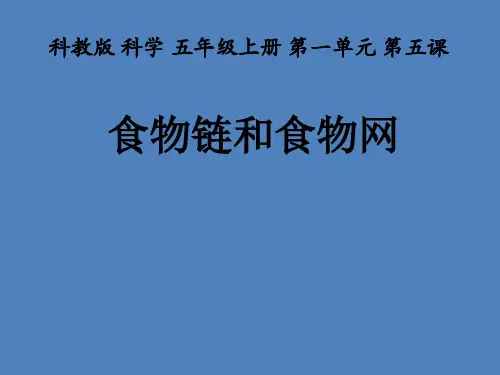 五年级上册科学课件-1.5 食物链和食物网｜教科版 (共13页)PPT