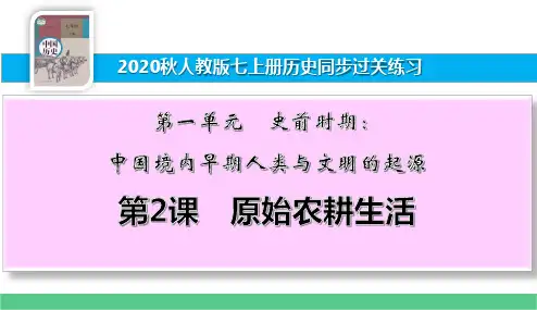 七上历史同步过关练习第2课 原始农耕生活