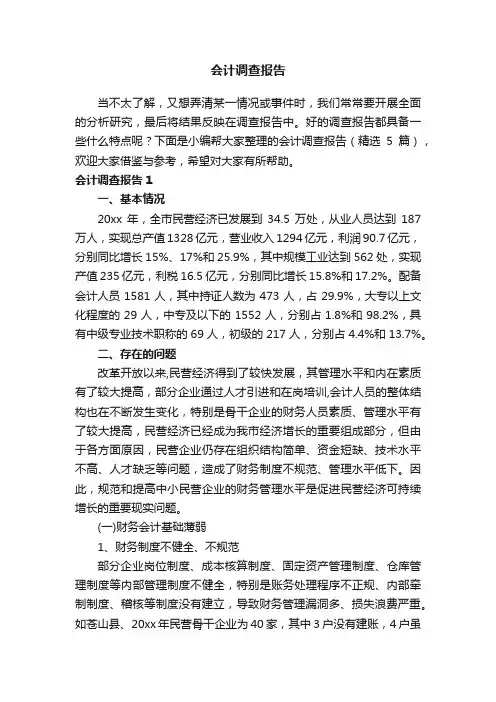会计调查报告（精选5篇）