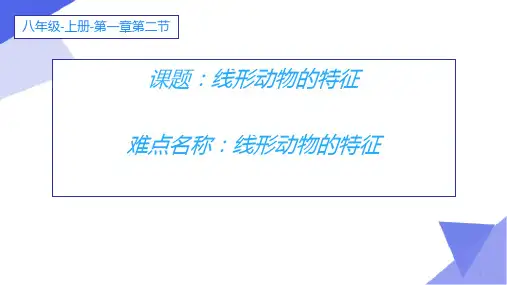 初中八年级上册生物《线形动物》课件