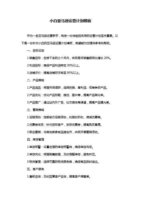 小白亚马逊运营计划模板