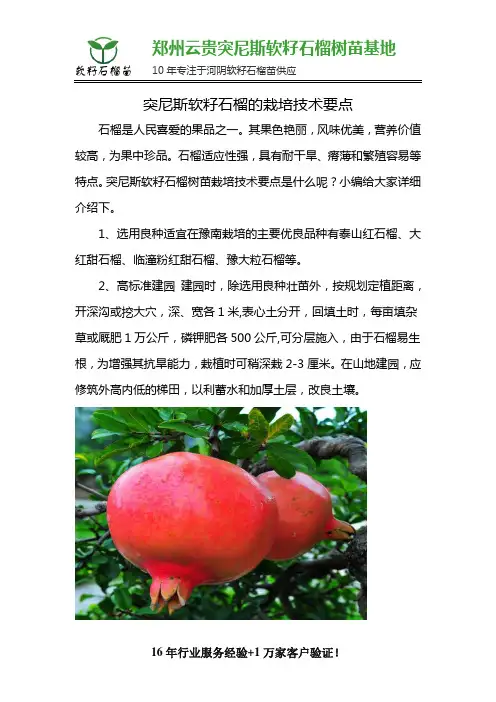突尼斯软籽石榴的栽培技术要点