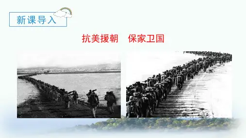 青山处处埋忠骨 ppt课件