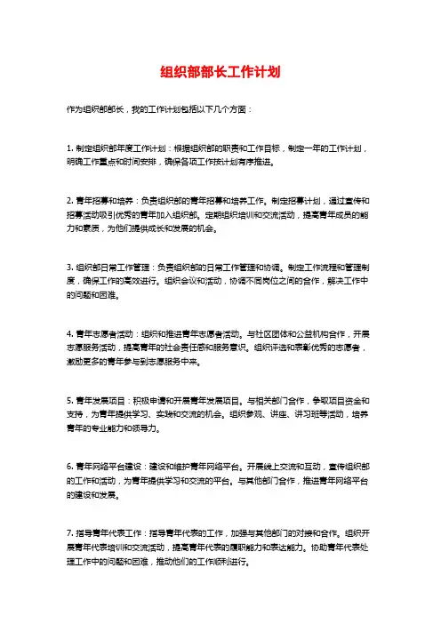组织部部长工作计划
