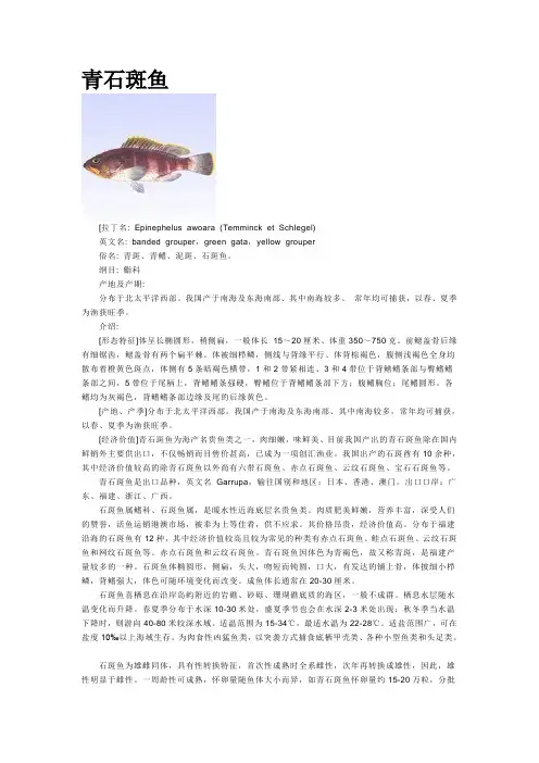 青石斑
