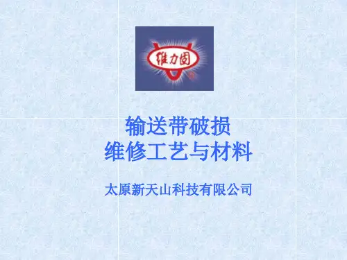 输送带破损维修工艺与材料--维力固