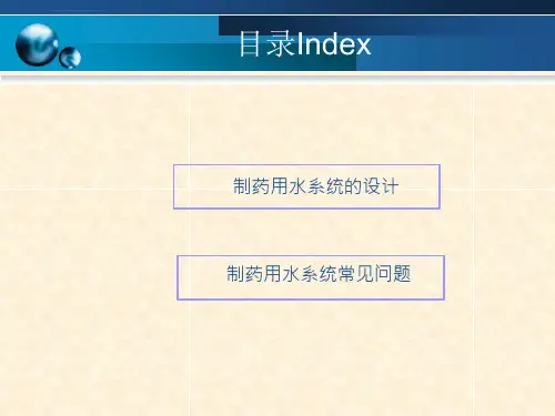 制药用水系统设计及常见问题ppt课件