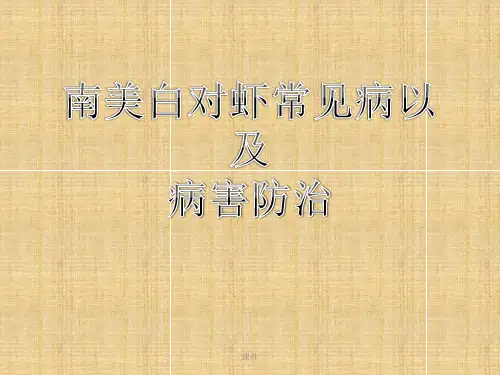 汇总南美白对虾常见疾病及防治.ppt