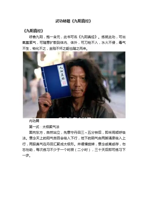 武功秘籍《九阳真经》