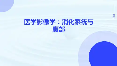 医学影像学：消化系统与腹部