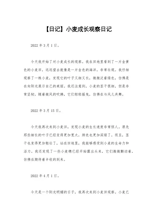 【日记】小麦成长观察日记