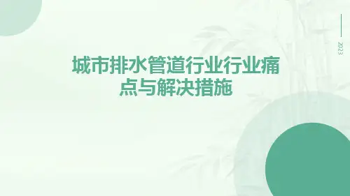 城市排水管道行业行业痛点与解决措施ppt
