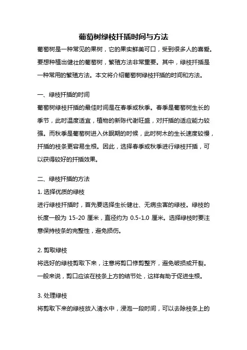 葡萄树绿枝扦插时间与方法