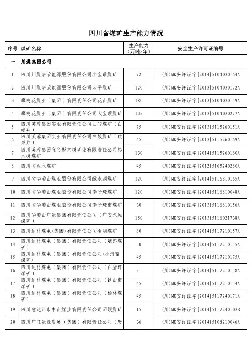 四川煤矿生产能力情况