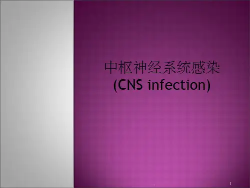 中枢神经系统感染ppt课件