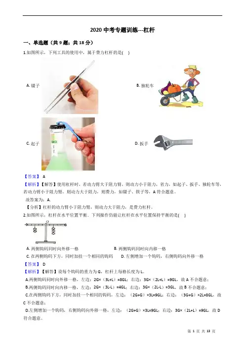 2020中考专题训练---杠杆 附详细解析教师版
