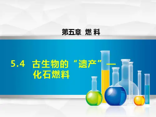 古生物的“遗产”——化石燃料PPT授课课件