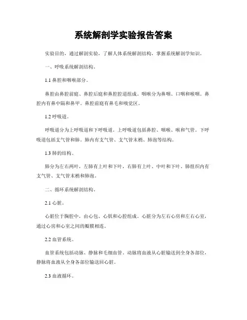 系统解剖学实验报告答案