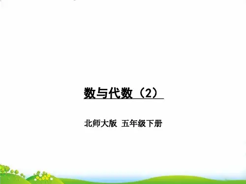 五年级下册数学PPT-总复习第2-3课时数与代数(2)北师大版(17张)-精品课件