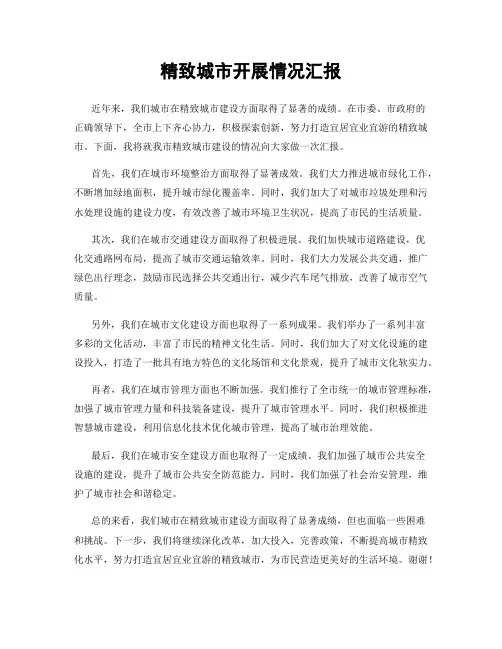 精致城市开展情况汇报