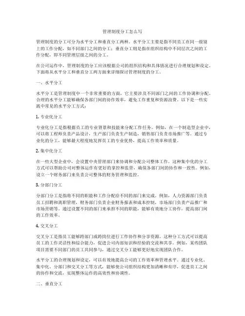 管理制度分工怎么写