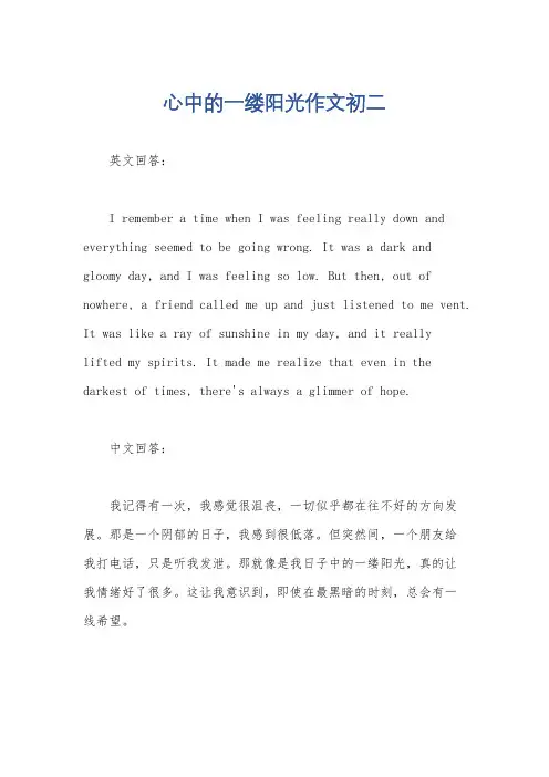 心中的一缕阳光作文初二