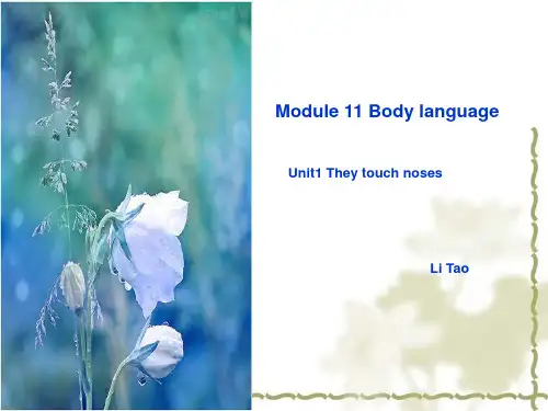 外研社 七年级下册Module 11 Body language  Unit 1 They touch noses!教案设计  李涛  高密市夏庄中学