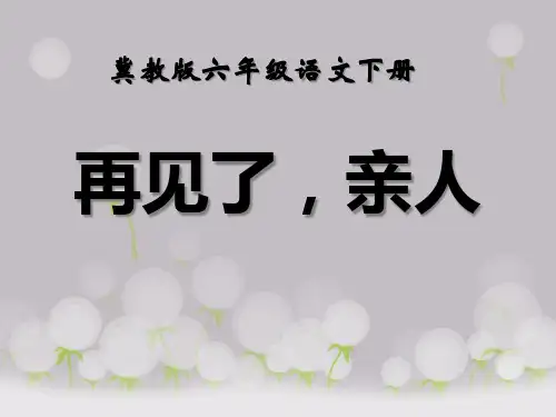 《再见了,亲人》PPT课件十