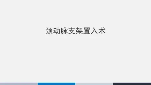 颈动脉支架置入术PPT课件