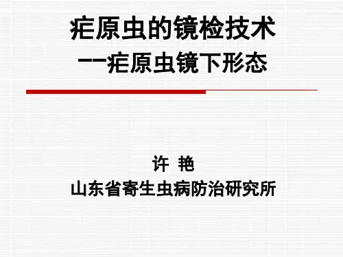 疟原虫镜下形态-2017想