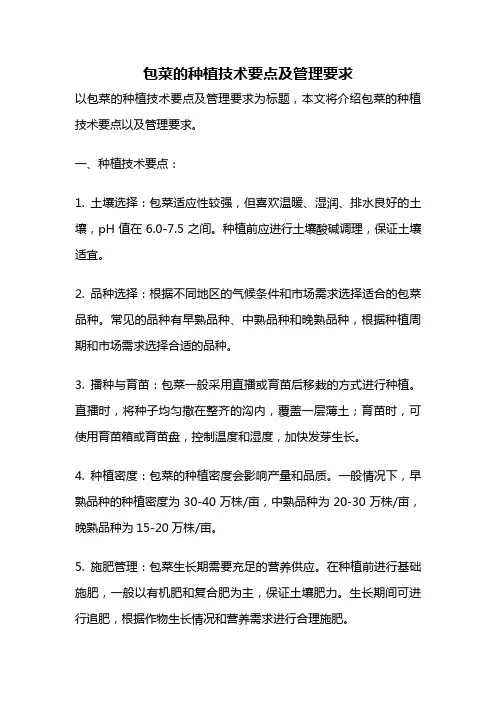包菜的种植技术要点及管理要求