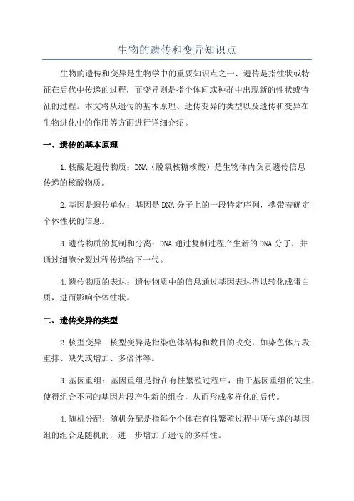 生物的遗传和变异知识点