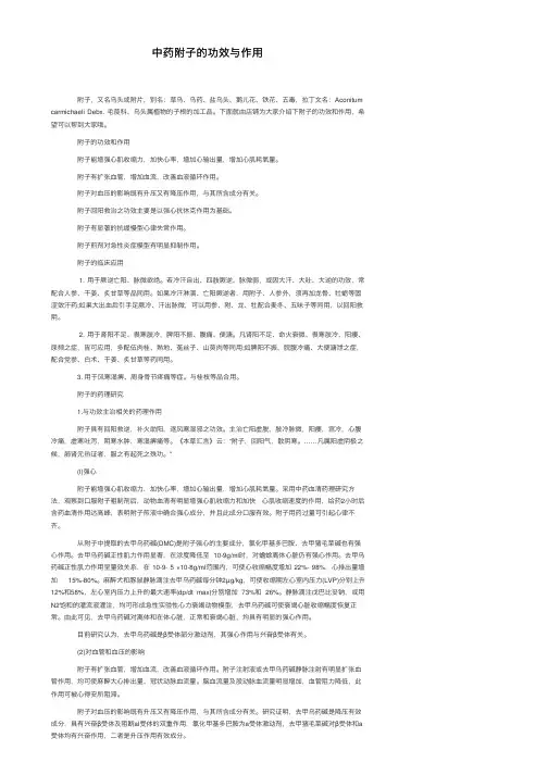 中药附子的功效与作用