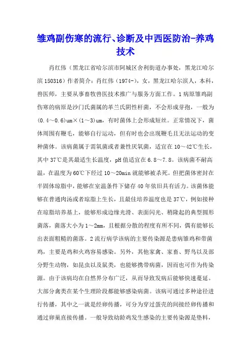 雏鸡副伤寒的流行、诊断及中西医防治 - 养鸡技术