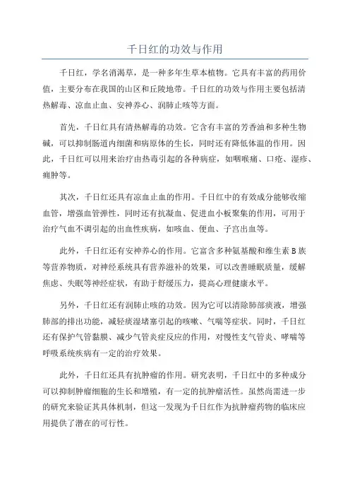 千日红的功效与作用