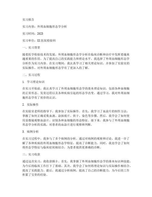 外周血细胞形态实习报告