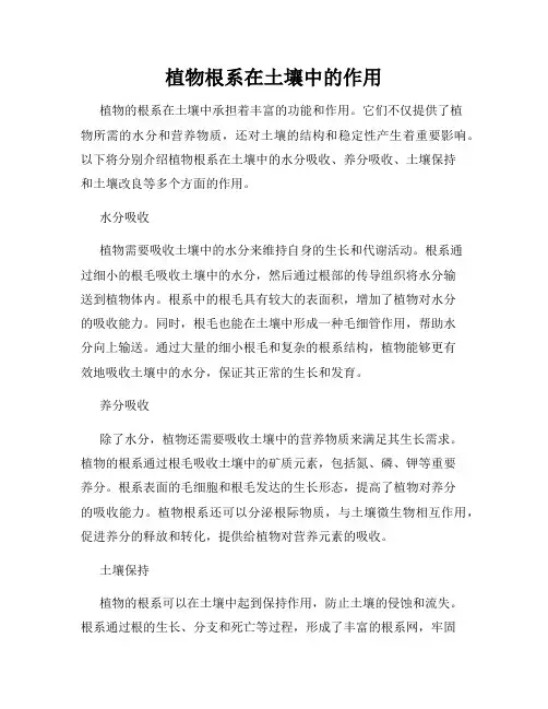 植物根系在土壤中的作用