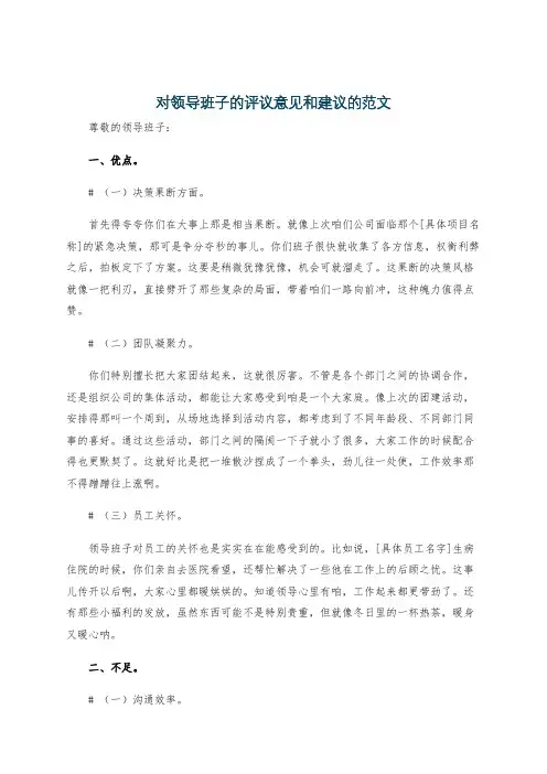 对领导班子的评议意见和建议的范文