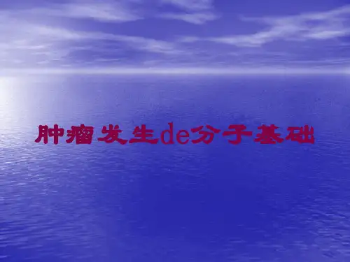肿瘤发生的分子基础培训课件