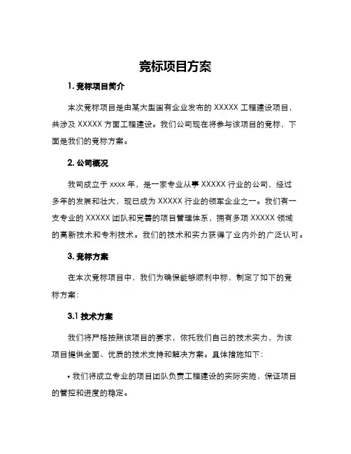 竞标项目方案