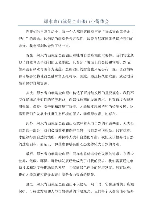 绿水青山就是金山银山心得体会