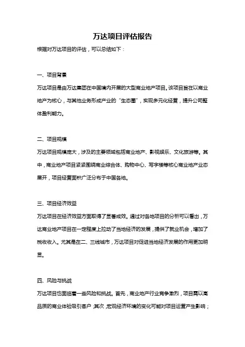 万达项目评估报告