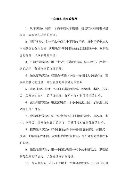二年级科学实验作品