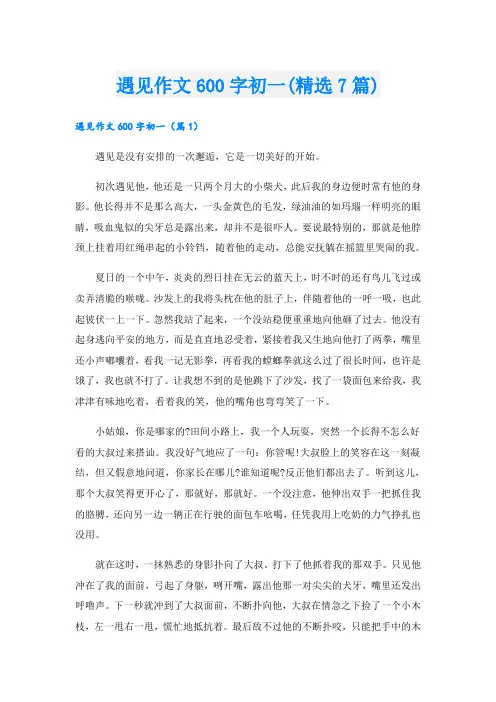 遇见作文600字初一(精选7篇)