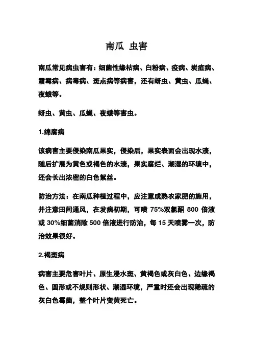 南瓜 虫害
