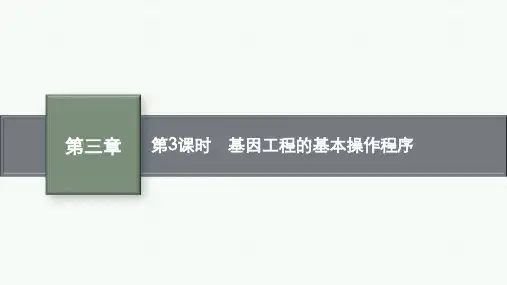 苏教版高中生物学选择性必修3生物学技术与工程精品课件 第三章第一节 第3课时 基因工程的基本操作程序